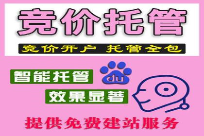 SEM推广策略：实战案例教你玩转搜索引擎